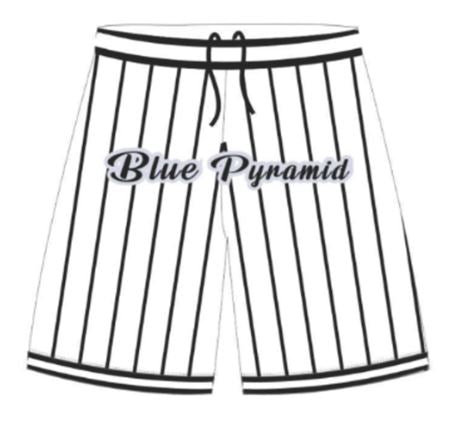 Blue Pyramid PinStripe Shorts